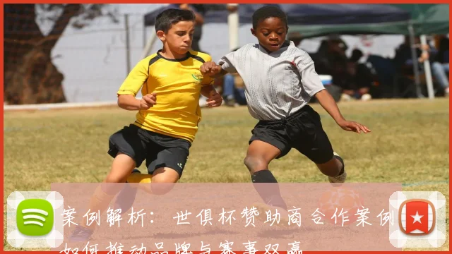 案例解析：世俱杯赞助商合作案例如何推动品牌与赛事双赢